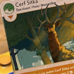 Earthborne Rangers, le voyage qui se mérite