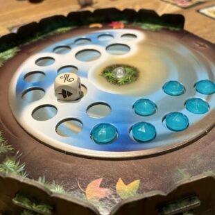 Mycelia : du mousseron au bolet