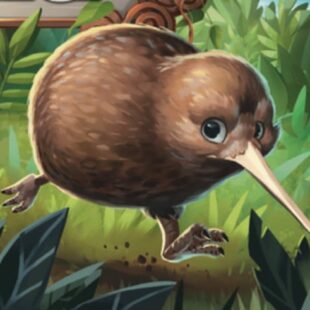 Kauri : Un p’tit coin de paradis ?