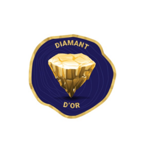 DIAMANT D’OR : Le palmarès 2024