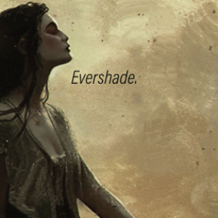 Awaken Realms révèle ses projets 2024 : Châteaux de Bourgogne, Puerto Rico, Grimcoven, Lands of Evershade