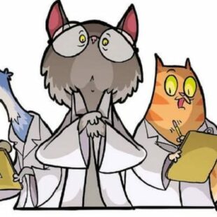 small is beautiful # 46 : Similo boardgames, Aurum, Les chats de Schrodinger, Karma dice, Exit Sherlock holmes, quickity pickity