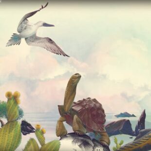 Darwin’s Journey Fireland : Voyage en Terre de Feu