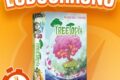 LUDOCHRONO – Treetopia