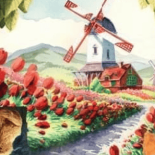 Soif de nature ? Meadow: Adventure Book