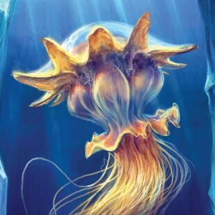 Revive plongée dans les Abysses