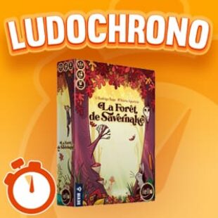 LUDOCHRONO – La forêt de Savernake