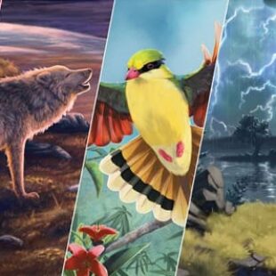 Nature : l’évolution d’Evolution