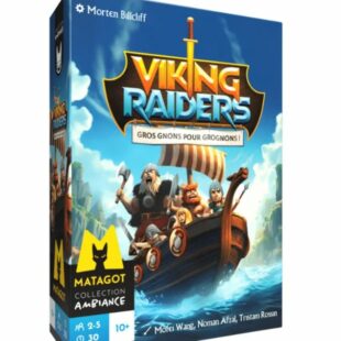 Viking Raiders