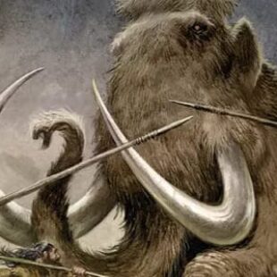 Doggerland : quand l’âge de pierre rencontre la vallée des mammouths