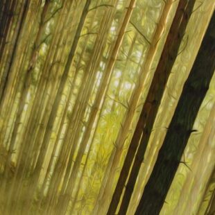 Black Forest : Faites tourner les verres !