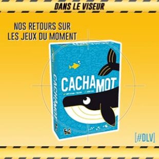 [#DLV] LES JEUX DU MOMENT : Cachamot