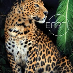Earth: Animal Kingdom