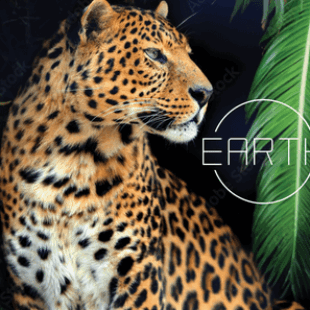 Underwater Cities, Tower up, Earth, Flamme rouge, Monde de Reterra, Baie des marchands… La valse des extensions