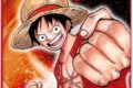 One Piece TCG – Le fruit du démon du jeu