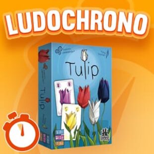 LUDOCHRONO – Tulip