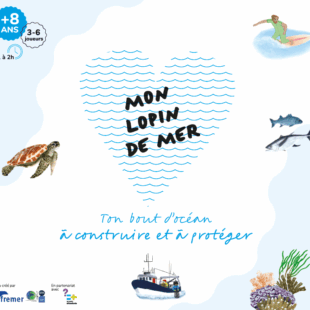 Mon petit lopin de mer