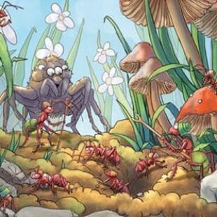 Après les rats de Wistar, voici les fourmis