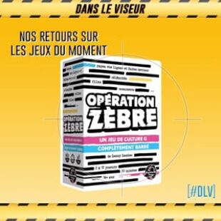 [#DLV] LES JEUX DU MOMENT : Opération zèbre