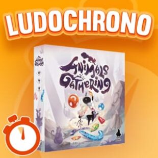 LUDOCHRONO – Animals Gathering