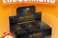LUDOCHRONO – Morph