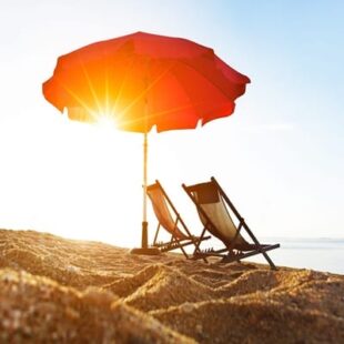 Small is beautiful # 60 : Ito, Queen Marie Antoinette, Trailblazers voyage, Verso, Révolte, Bellevue, Inimaginable, Paperback, Le baron, Terres de loups, Nobi Nobi