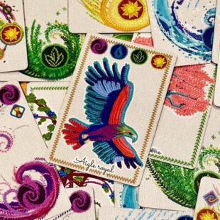 Dame Nature : la coopération intissée