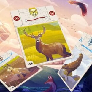 The Peak Team (rangers) : south parks