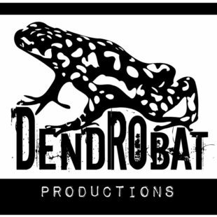 Rencontre avec Tolkraft, auteur et éditeur de Dendrobat productions