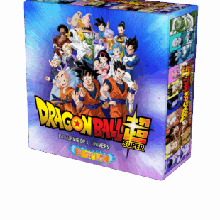 Dragon Ball Super – La Survie de l’Univers