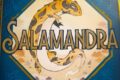 Salamandra : les druides ne vont pas lézarder