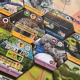 Sanctuary : L’élephant dans la piéce