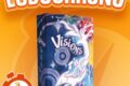 LUDOCHRONO – Visions