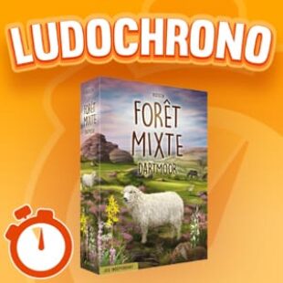 LUDOCHRONO – Forêt Mixte Dartmoor