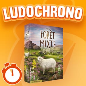 LUDOCHRONO – Forêt Mixte Dartmoor