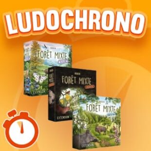 LUDOCHRONO – Forêt Mixte Extensions (Alpes, Lisière de Forêt, Exploration)