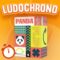 LUDOCHRONO – Panda Flip