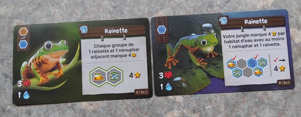 life of the amazonia