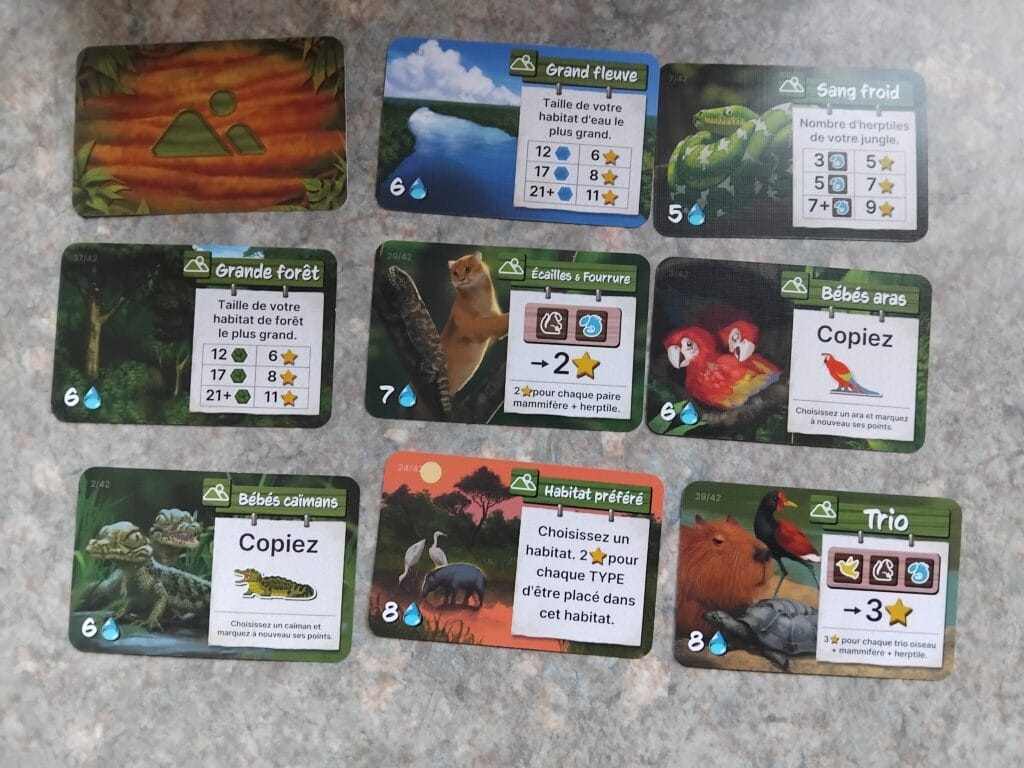 life of the amazonia