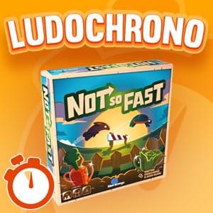 LUDOCHRONO – Not So Fast