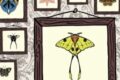 Small is beautiful # 69 : lepidoptery- hii fuu – the last wizard – jungle bluff – small fjords – barbecubes – Sensu – fugitif – farm hand – déluge de dragons