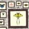 Small is beautiful # 69 : lepidoptery- hii fuu – the last wizard – jungle bluff – small fjords – barbecubes – Sensu – fugitif – farm hand – déluge de dragons
