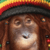 Illustration du profil de bob68